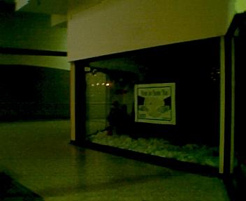 Hampton Towne Centre (Hampton Square Mall) - From Bob P (newer photo)